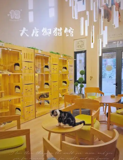 宠物公寓效果图(待替换)